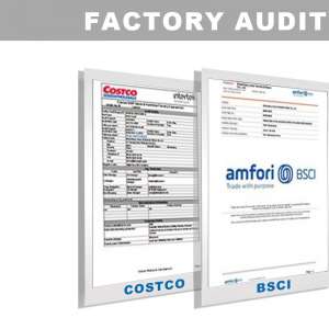 Factory Audit