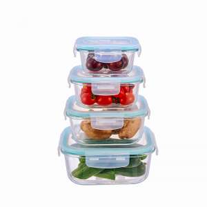 Airtight Glass containers with vented lid Square